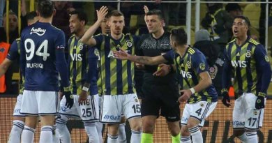 Fenerbahçe - Alanyaspor