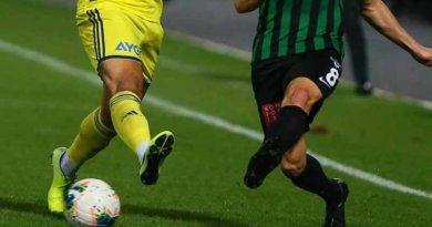 Fenerbahçe - Denizlispor